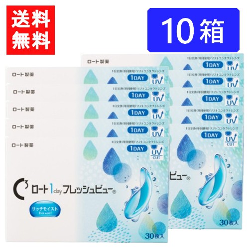 ロート ワンデーフレッシュビュー リッチモイスト（30枚入）&times;10箱 送料無料 RHOTO 1DAY フレッシュビュー｜エアリーコンタクト