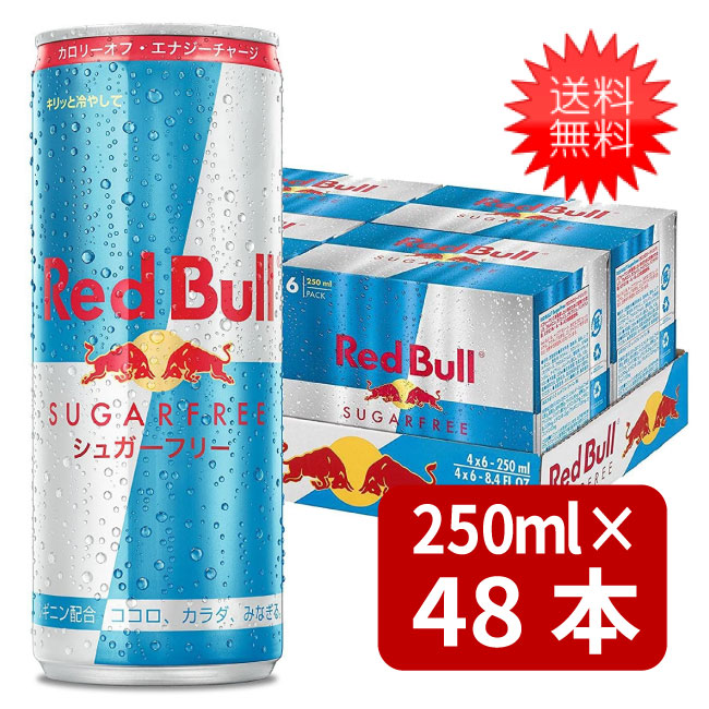 トップシークレット レッドブル250ml48本（2ケース） - ecotours-of