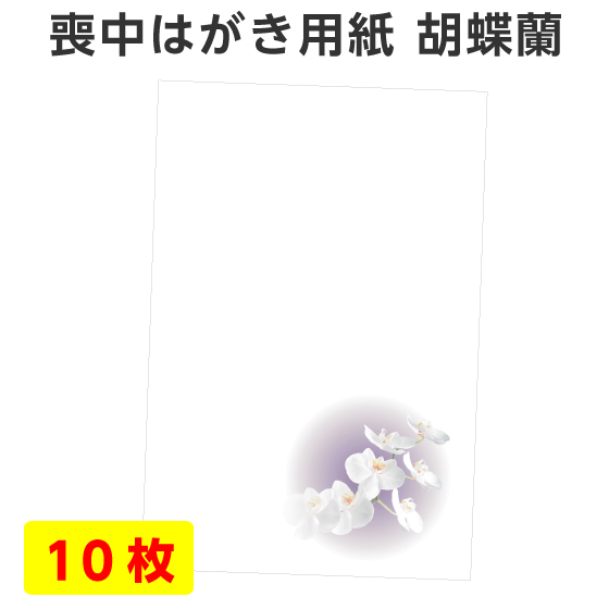 楽天市場 喪中はがき 用紙のみ 10枚 胡蝶蘭 こちょうらん ベーシック シンプル 喪中 寒中見舞い はがき 喪中ハガキ 用紙 無地 花 デザイン 絵柄 台紙 年賀欠礼 年賀状辞退 挨拶状 はがき 印刷 帰蝶堂