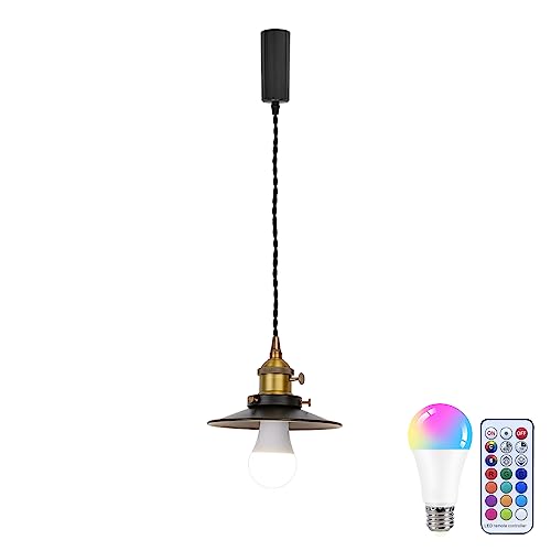 ペンダントライト 電球色＋11色RGB 吊り下げライト ダクトレール式 ライティングレール用 コード100cm 収納コップ付き 100cm範囲内に調節可 リモコンつき タイマー機能 モード替え可 照度調節 インテリアライト レトロ RGB電球付属 E26対応 回転スイッチ付き on/off可