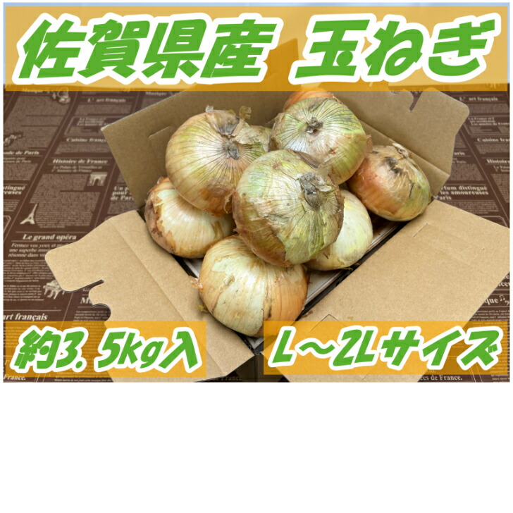 市場 佐賀県産 玉ねぎ 約3.5キロ箱：愛食コーナー