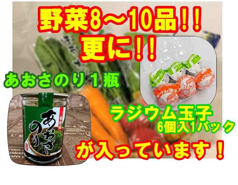 肌触りがいい 市場より直送 <br>野菜セット ファミリーセット<br> 飯坂