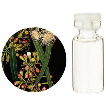 正規品 生活の木 エッセンシャルオイルユーカリ シトリオドラ レモンユーカリ 100ml 送料込 Vancouverfamilymagazine Com