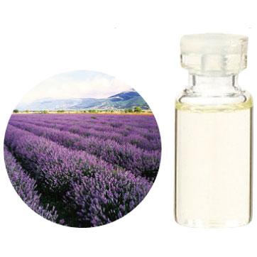 エッセンシャルオイル 精油 おすすめ 生活の木 エッセンシャルオイルラベンダー ブルガリア産 100ml