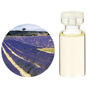 (生活の木)オーガニック(有機)エッセンシャルオイルラベンダー・フランス産　10ml
