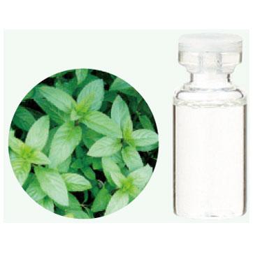 (生活の木)オーガニック(有機)エッセンシャルオイルペパーミント　3ml