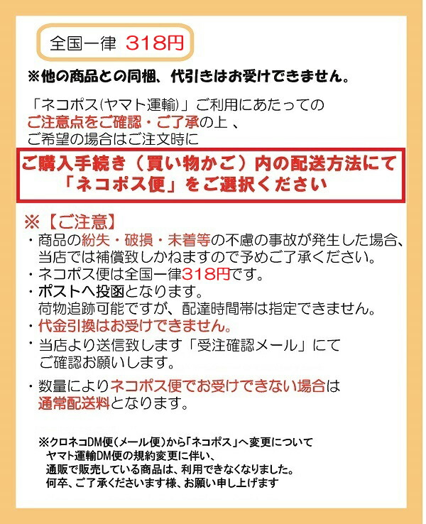 楽天市場】【レイメイ藤井】 ダ・ヴィンチ システム手帳 リフィル バイブル(聖書) 横罫ノート6.5mm罫 DR277：アイソル楽天市場店