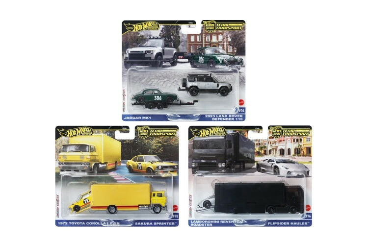 ホットウィール 1/64 2024 鉄道車両一般教養 野球クラブ移送 E入れもの 3台仕掛けるHot Wheels 1:64 2024 Car Culture Team Transport E Case Set of 3 Cars