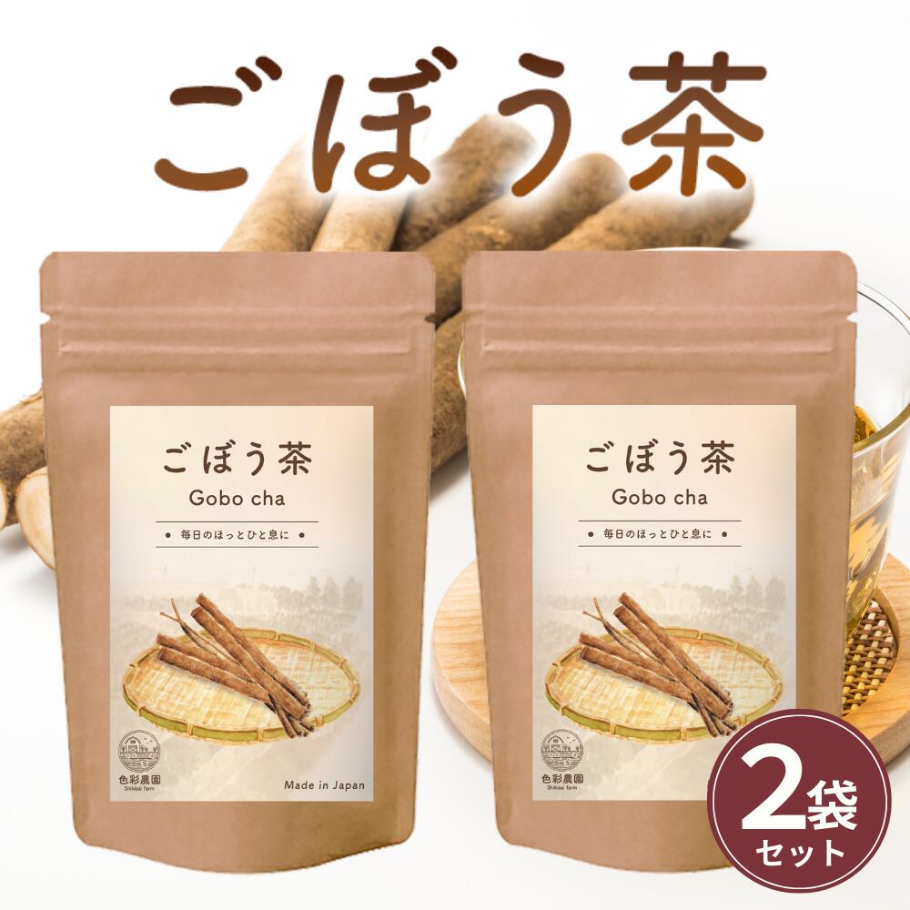 人気定番 ごぼう茶 国産 2g×40包 お得な2袋セット 送料無料 ティーバッグ ゴボウ茶 健康茶 母乳 ノンカフェイン 無添加 食物繊維 ダイエット  skyda.in