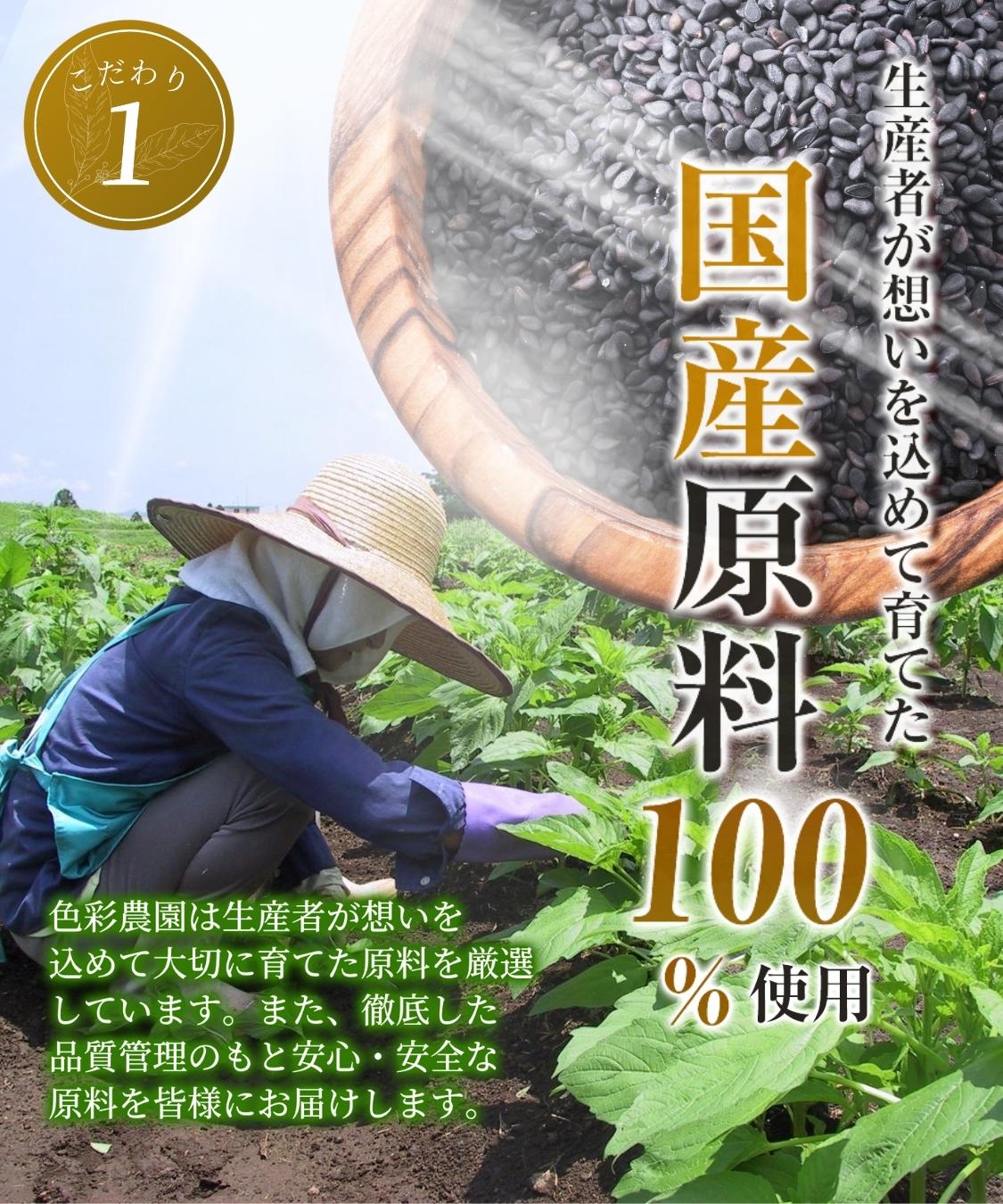 胡麻麦茶 国産 な2袋セット 黒ごま 5g×50包 ティーバッグ 黒胡麻麦茶 黒ごま麦茶 ノンカフェイン