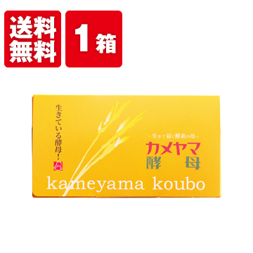 楽天市場】【最大半額！期間限定ガチャ開催中】 【公式】亀山堂