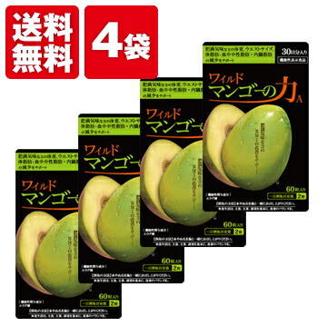 亀山堂 ワイルドマンゴーの力新品未開封×5袋 亀山堂 ワイルドマンゴーの力新品未開封×5袋
