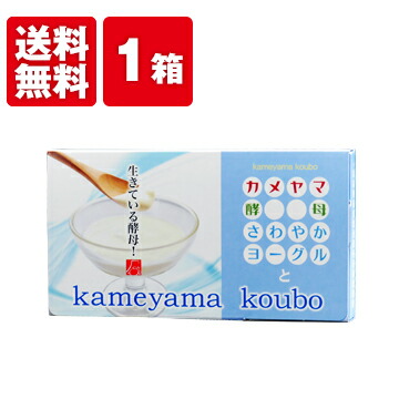 楽天市場】【最大半額！期間限定ガチャ開催中】 【公式】亀山堂