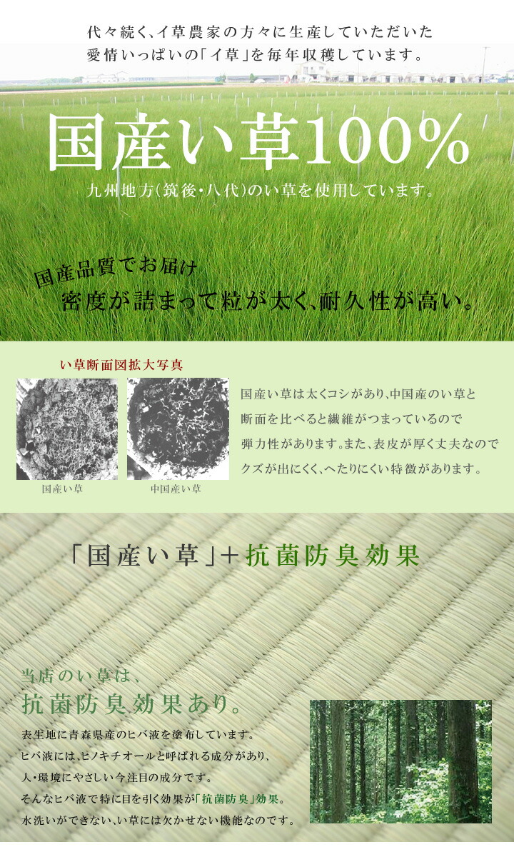 い草 置き畳 マット ユニット畳 45cm 輝 かがやき コルク x6 約 164cm輝き 6枚組 畳マット 簡易畳 日本製 6枚セット 6畳 フローリング畳 軽量 タタミ 畳 イ草 日本製 長方形 アイズインテリアショップ 九州産の国産い草使用 置き畳 国産 長方形 い草 置き畳 マット ユニット畳 45cm 輝 かがやき コルク x6 約 164cm輝き 6枚組 畳マット 簡易畳 日本製 6枚セット 6畳 フローリング畳 軽量 タタミ 畳 イ草 日本製 長方形 アイズインテリアショップ 九州産の国産い草使用 置き畳 国産 長方形