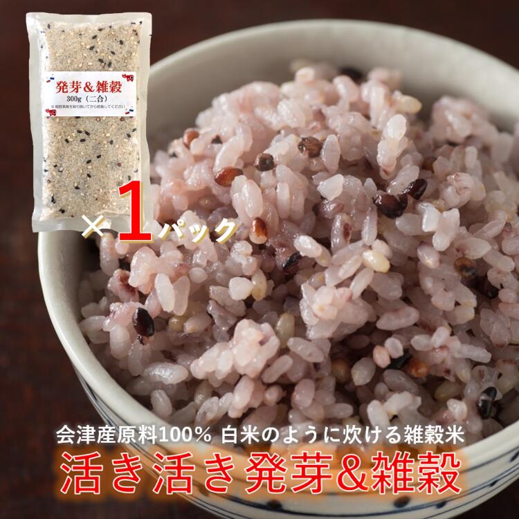 楽天市場】会津美里町産 コシヒカリ 10kg 2kg×5 こしひかり 令和