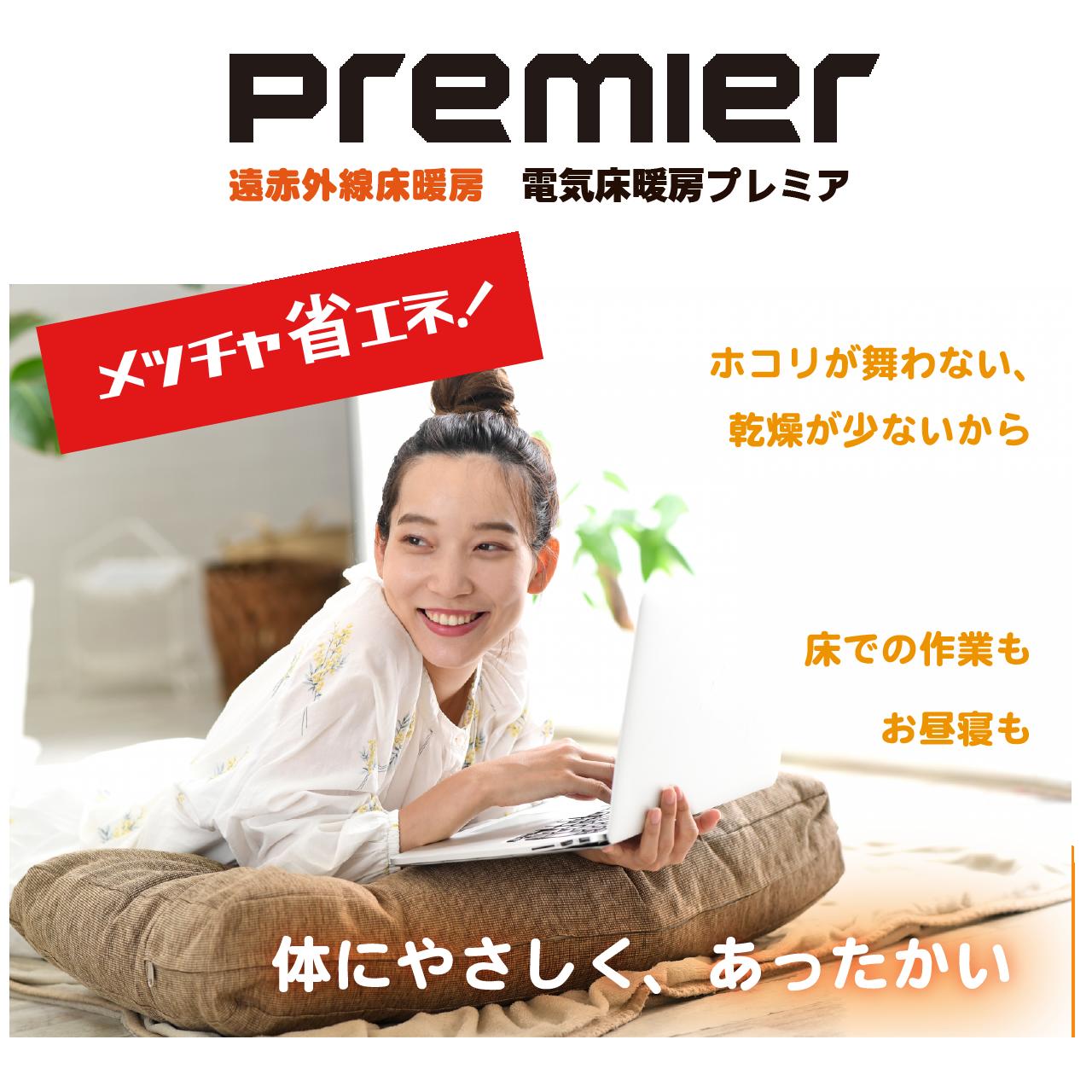 初回特典付 Ptc遠赤外線 省エネ電気床暖房 Premier プレミア 16畳 コントローラ 最新人気 Dreamcancel Com