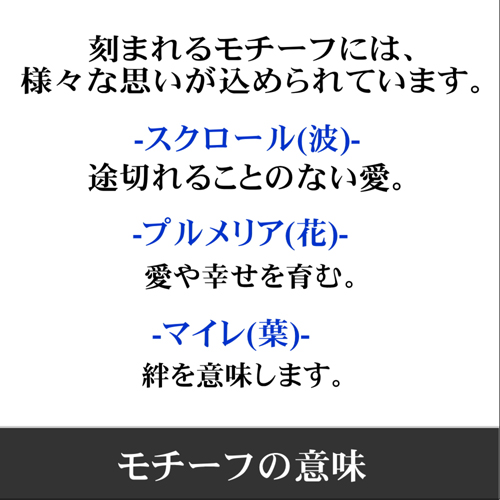 Pure Message Memoria 清浄 ハワイアンアンティーク ジュエリー フープピアス Aloha Honu アロハ ホヌ ウミガメ 不錆鋼316l Pmh 401 代引不可 他愛無いギフ 荷造り選ぶ 共栄 Eastjob Pl