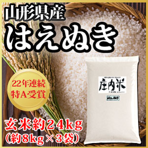 【楽天市場】【令和4年度産】山形県産 はえぬき 玄米 約24kg（62-Q）：さくらんぼの里山形「味の農園」