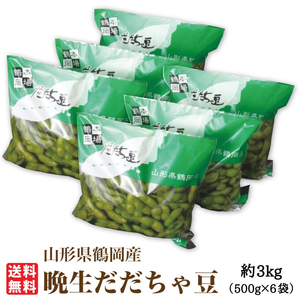 伊藤さんの最晩生だだちゃ豆　尾浦約3kg(03-X)｜さくらんぼの里山形「味の農園」