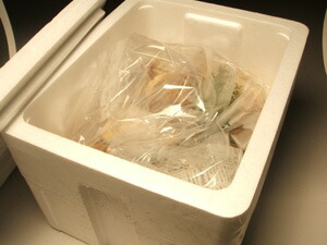 旬を味わう【厳選】和歌山産朝堀り筍(タケノコ)5kg