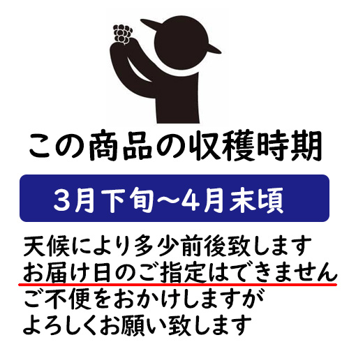 ご予約受付中旬を味わう【厳選】和歌山産朝堀り筍(タケノコ)5kgお花見もバーベキューもたけのこ料理で!送料無料