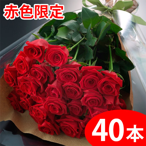 楽天市場 送料無料 年末年始お届け 赤いバラの花束ギフト60本 期間限定 ポイント5倍 味縁
