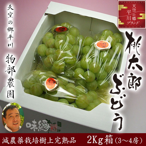 【送料無料】物部さんの桃太郎ぶどう3〜4房2kg箱