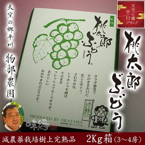 【送料無料】物部さんの桃太郎ぶどう3〜4房2kg箱