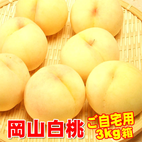 岡山県産白桃 ご自宅用訳あり 3Kg 10～15玉 岡山白桃物語 送料無料 収穫地を桃の聖地岡山玉島地区に限定した訳あり品です お試し 【早期ご予約受付中】