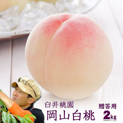 臼井桃園 白桃 進物用 2Kg 5～8玉 栽培園限定商品 岡山県産白桃 送料無料【早期ご予約受付中】お中元｜味縁