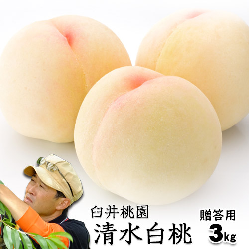 臼井桃園 清水白桃 進物用 3Kg 8～11玉 栽培園限定商品 岡山県産白桃 送料無料　お中元【早期ご予約受付中】