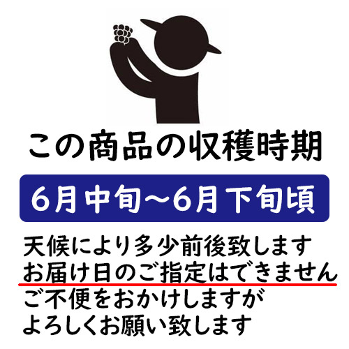 早期ご予約受付中 岡山白桃 はなよめ桃 ご自宅用訳あり 2kg箱 9 11玉 最も早く収穫される岡山の桃 倉敷より収穫当日発送 生産者直送品 生産量 の少ないはなよめ桃の訳ありご自宅用 収穫 発送は6月中旬頃から開始予定 数量限定品につきお早めに Cooltonindia Com