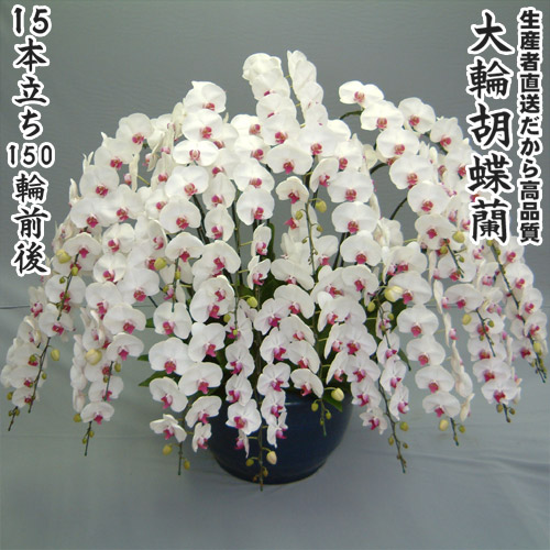 百貨店大売り出しＳＡＬＥ会場