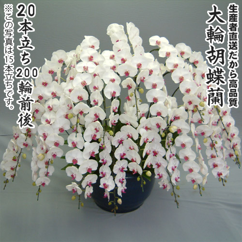 百貨店大売り出しＳＡＬＥ会場