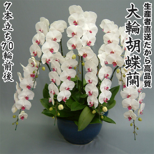 百貨店大売り出しＳＡＬＥ会場