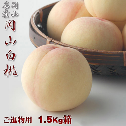岡山県産白桃 進物用 1.5Kg 6～8玉 岡山白桃物語 送料無料 収穫地を桃の聖地岡山玉島地区に限定した商品です【早期ご予約受付中】お中元