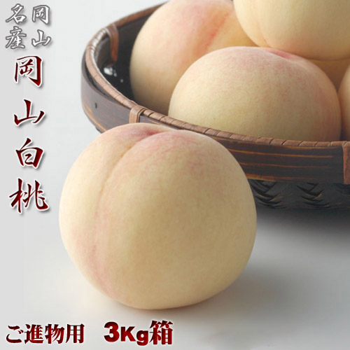 岡山県産白桃 進物用 3Kg 8～13玉 岡山白桃物語 送料無料 収穫地を桃の聖地岡山玉島地区に限定した商品です【早期ご予約受付中】お中元