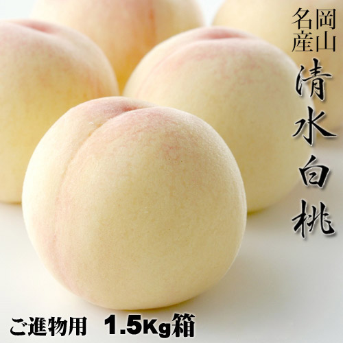 清水白桃 進物用 1.5Kg 6～8玉 岡山県産白桃 岡山白桃物語 送料無料 収穫地を桃の聖地岡山玉島地区に限定した商品です【早期ご予約受付中】お中元