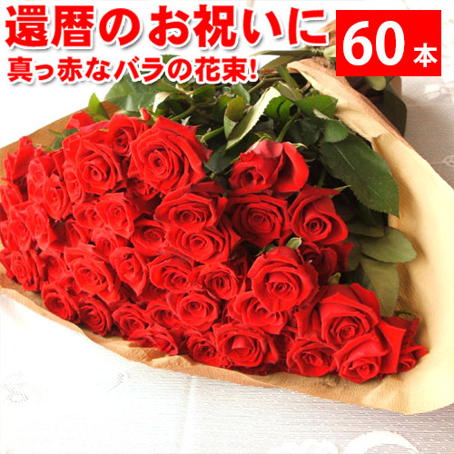 還暦祝いに赤いバラの花束ギフト60本！生産者直送だからバラの鮮度が違う！還暦の赤い薔薇ならこれ 還暦御祝い　花束還暦用 記念日 産地直送の薔薇 生産者直のばら 鮮度の良いバラ