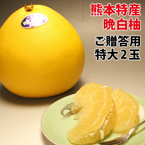 楽天市場 熊本 みかん 柑橘類 ばんぺいゆ 熊本八代産の晩白柚 バンペイユ 熊本のフルーツふるさと果樹園安田