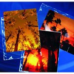 【中古】【未使用・未開封品】Clear File - Archival Photo Print Protectors - 8" X 10" - 25 Pack - 030025B|AJIMURA-SHOP