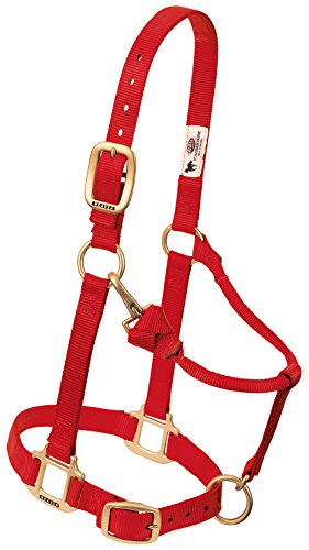 【中古】【未当てはめる・未開封品】Weaver Leather 頭絡 馬用 ナイロン 合わせる能力のある 事あたらしい