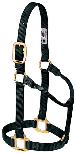 【中古】【未使用・未開封品】Weaver Leather ホルター 調節不可 Yearling Horse｜AJIMURA-SHOP