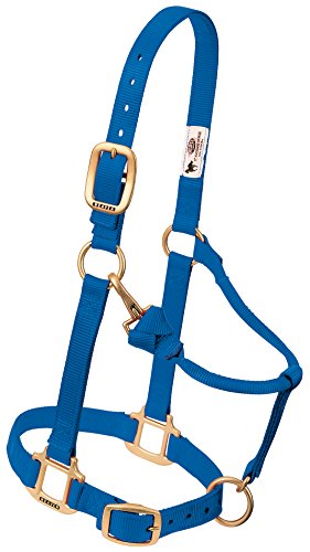 (未使用･未開封品)　カジノクインテット ar3p5n1 楽天市場】【中古】(未使用・未開封品) カジノクインテット