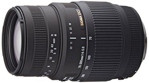 【中古】【未使用・未開封品】SIGMA 望遠ズームレンズ 70-300mm F4-5.6 DG MACRO キヤノン用 フルサイズ対応 509279