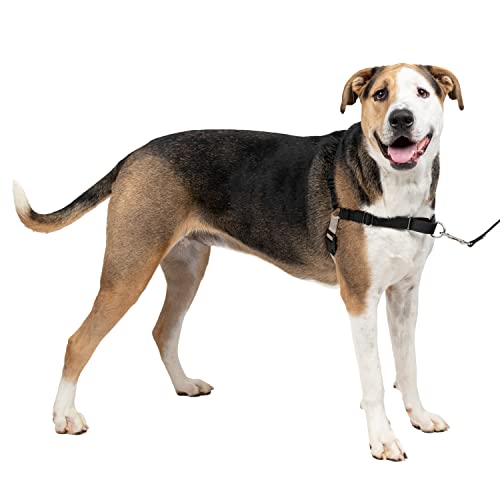 【中古】【未当て嵌める・未開封品】PetSafe イージーウォークハーネス (XL, 黒いこと＆しろがね色) ペット・ペットグッズ-犬用品-胴輪・ハーネス