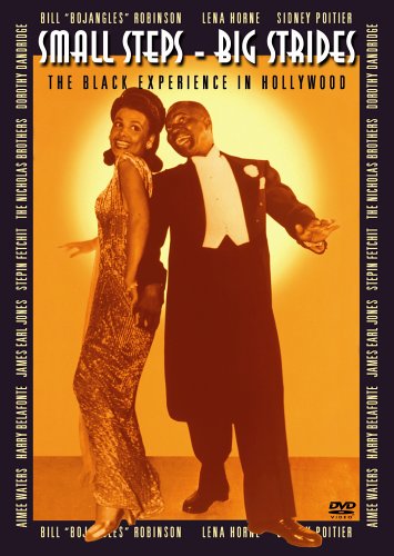 【中古】【未使用・未開封品】Small Steps Big Strides [DVD]