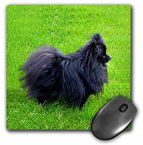 【中古】【未当て嵌める・未開封品】3Dサクラ色 犬 ポメラニアン - 黒ポメラニアン - 二十日鼠 パッド - 二十日鼠パッド - mp_939_1 (並行輸入)