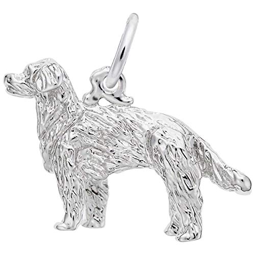【中古】【未当て嵌める・未開封品】レンブラント引きつけるGolden Retriever引きつける