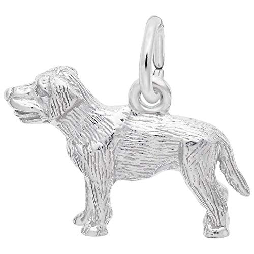 【中古】【未使用・未開封品】Rembrandt Charms ラブラドールチャーム, シルバー